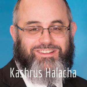 Kashrus Halacha by Dovid Cohen