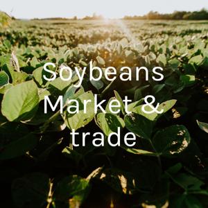 Soybeans Market & trade