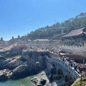 Kali Travels