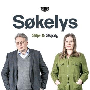 Søkelys