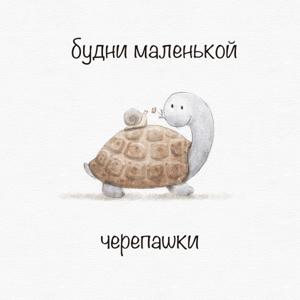 Будни Маленькой Черепашки