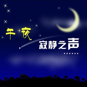 午夜寂静之声