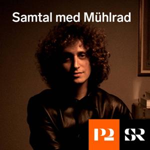 Samtal med Mühlrad