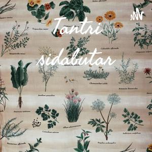 Tantri sidabutar