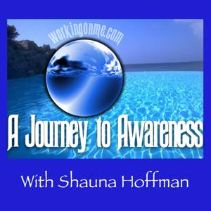 A Journey To Awareness With Shauna Hoffman