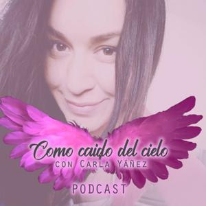 Como caído del cielo