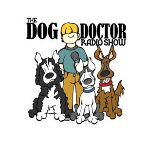 The Dog Doctor