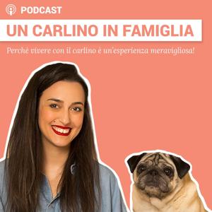 Un carlino in famiglia