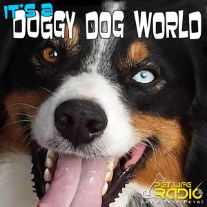 It's A Doggy Dog World - Dog Podcast about dogs as pets & caring for your pet dog, - Pets & Animals on Pet Life Radio (PetLifeRadio.com) by Liz Palika