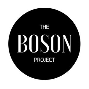 The Boson Project