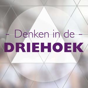 Denken in de Driehoek