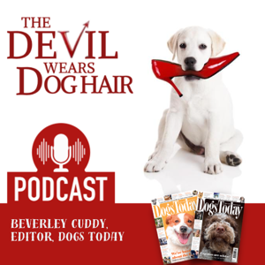 Beverley Cuddy: The Devil Wears Dog Hair’s Podcast