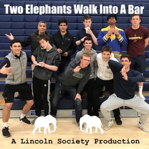 Two Elephants Walk Into a Bar