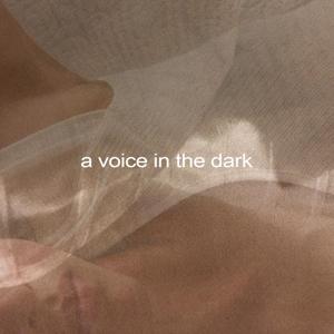 a voice in the dark