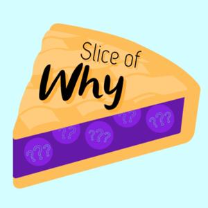 Slice of Why