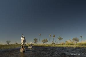 Into the Okavango
