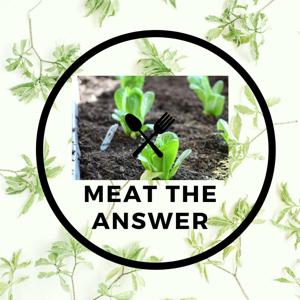 Meattheanswer