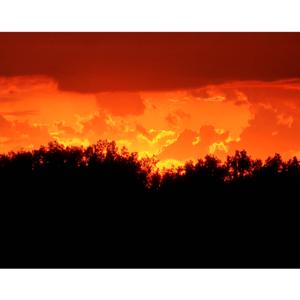 Olivet of Robbinsdale MN