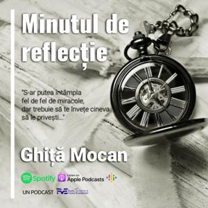 RVE Timișoara - Minutul de reflecție