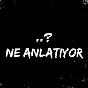 Ne Anlatıyor