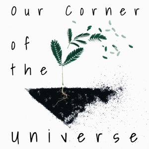 Our Corner of the Universe
