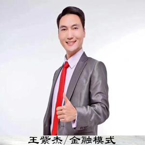 王紫杰丨企业战略思维