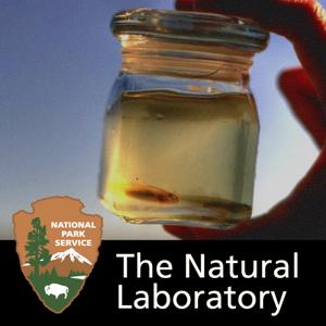 The Natural Laboratory