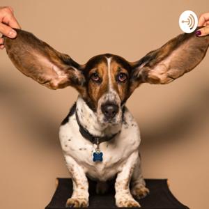 The All Ears Podcast