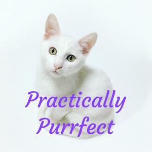 Practically Purrfect