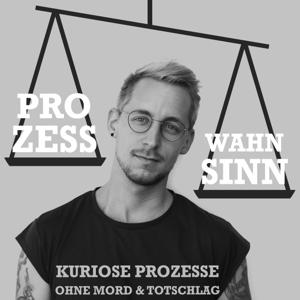 Prozess Wahn Sinn