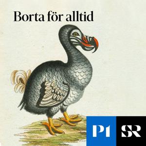 Borta för alltid by Sveriges Radio