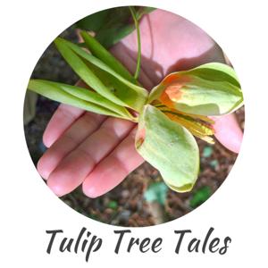 Tulip Tree Tales - Storytelling Podcast for Children