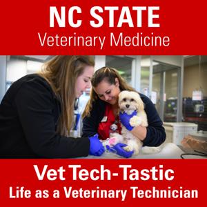 Vet Tech-Tastic