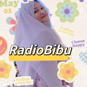 Radio bibu