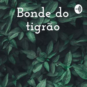 Bonde do tigrão