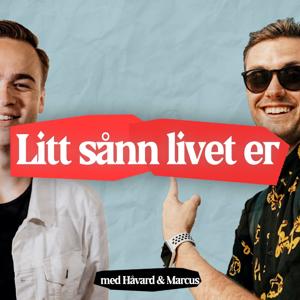 Litt Sånn Livet Er