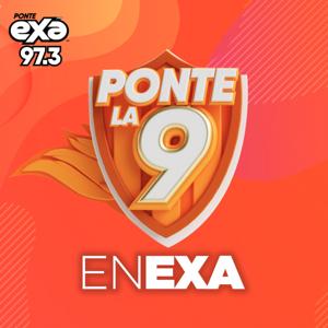 Ponte La 9