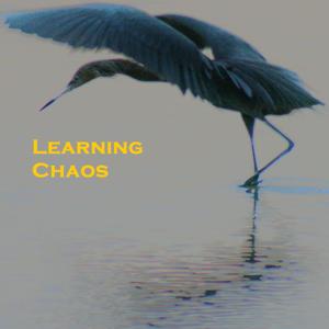 Learning Chaos