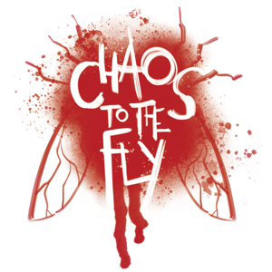Chaos to the Fly