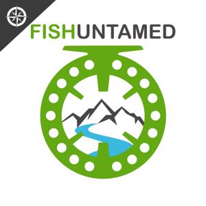 Fish Untamed by Katie Kusold