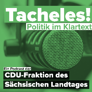 Tacheles! Politik im Klartext