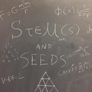 STEMs and Seeds