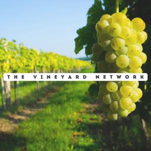 Vineyard of Red Wine©️