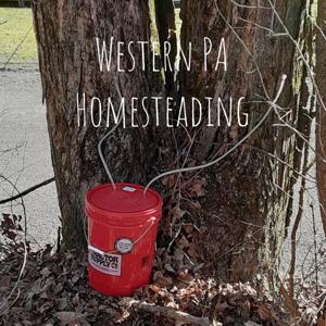 Western PA Homesteading