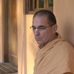 Swami B.V. Tripurari's 2010 Lectures