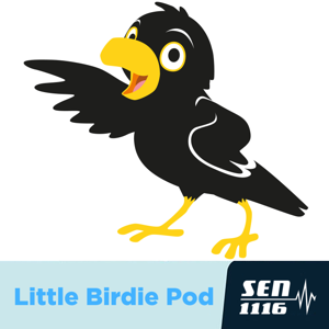 Little Birdie Pod