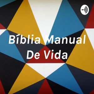 Bíblia Manual De Vida