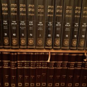 The Rebbe's Sichos Translated