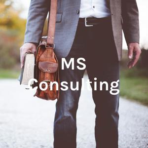 MS Consulting - Estrategias Corporativas