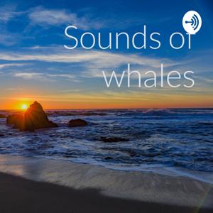 Sounds of whales